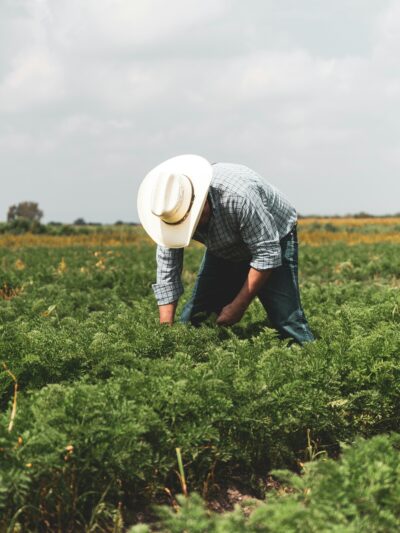 Productores y Fincas